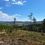 Julinka * Olszyny (Kamienna Gora)