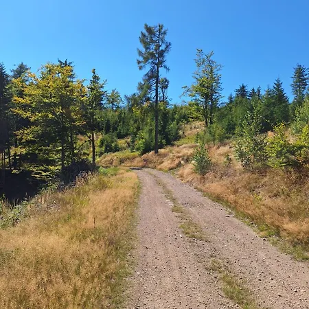 וילה Julinka Olszyny (Kamienna Gora)