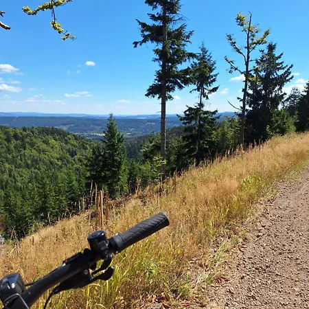 וילה Julinka Olszyny (Kamienna Gora)