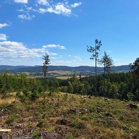 Julinka * Olszyny (Kamienna Gora)