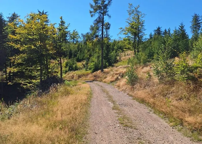 Willa Julinka Olszyny (Kamienna Gora)