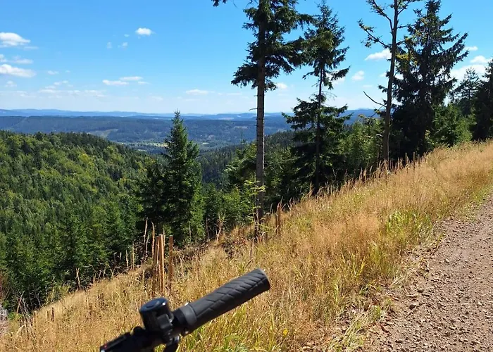 فيلة Julinka Olszyny (Kamienna Gora)