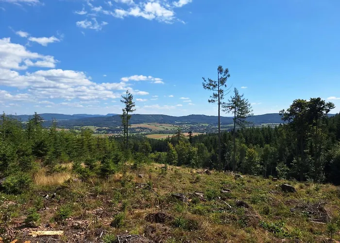 Julinka * Olszyny (Kamienna Gora)